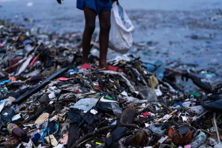 Impatto dei rifiuti tessili e plastici delle aziende di fast fashion